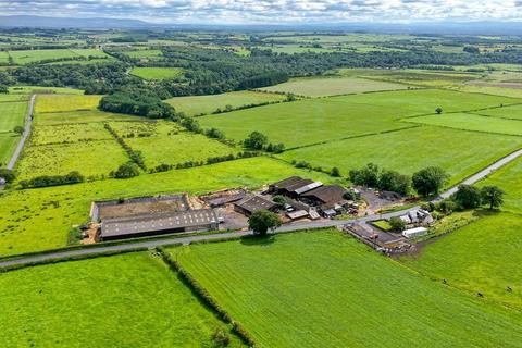 Land for sale, Lot 1 Harelawhole Farm, Canonbie, Dumfries and Galloway, DG14