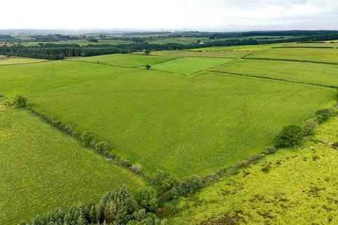 Land for sale, Lot 1 Harelawhole Farm, Canonbie, Dumfries and Galloway, DG14