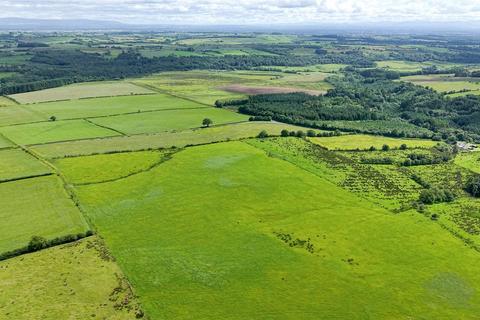 Land for sale, Lot 2 Harelawhole Farm, Canonbie, Dumfries and Galloway, DG14