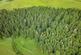 Hartside Wood, Lauder, Scottish Borders TD2 photo 4