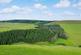 Hartside Wood, Lauder, Scottish Borders TD2 photo 5