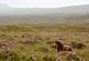 Additional image 15 of Isle of Lewis, Eilean Siar