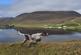Additional image 38 of Isle of Lewis, Eilean Siar