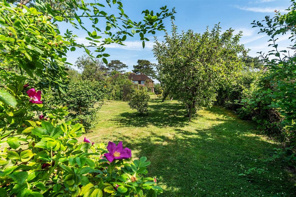 Garden view, garden