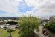 30 Dial Hill Road, Clevedon photo 3