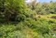 Additional image 26 of 17/4 Murieston Crescent, Dalry, Edinburgh, EH11 2LL