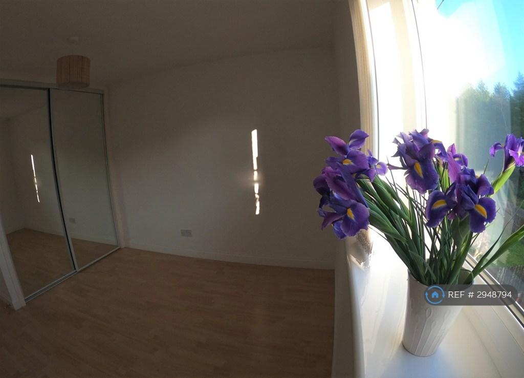 Denmilne Street, Glasgow, G34 - View 5
