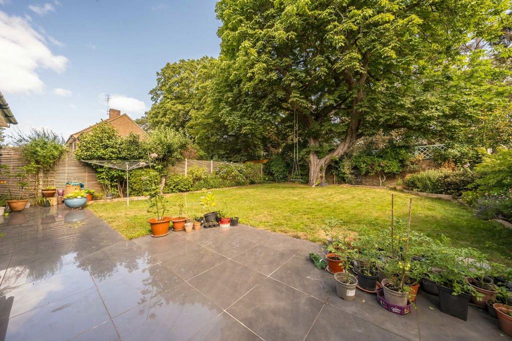 Garden view, garden