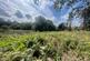 Plot 2, Newboundmill Lane, Pleasley photo 3
