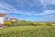 Walton on the naze CO14 photo 3