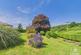 Additional image 24 of Varnister, Ruardean
