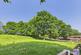Conifer Drive, Lordswood photo 4