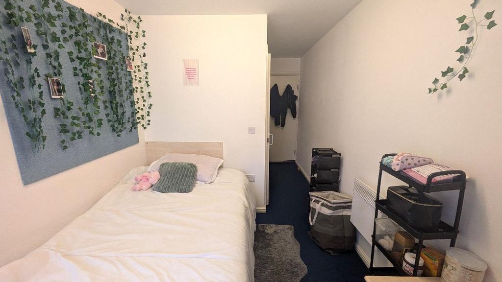 House in Cardiff, Cathays - View 3