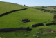 Additional image 25 of Wheathead Lane, Blacko BB9