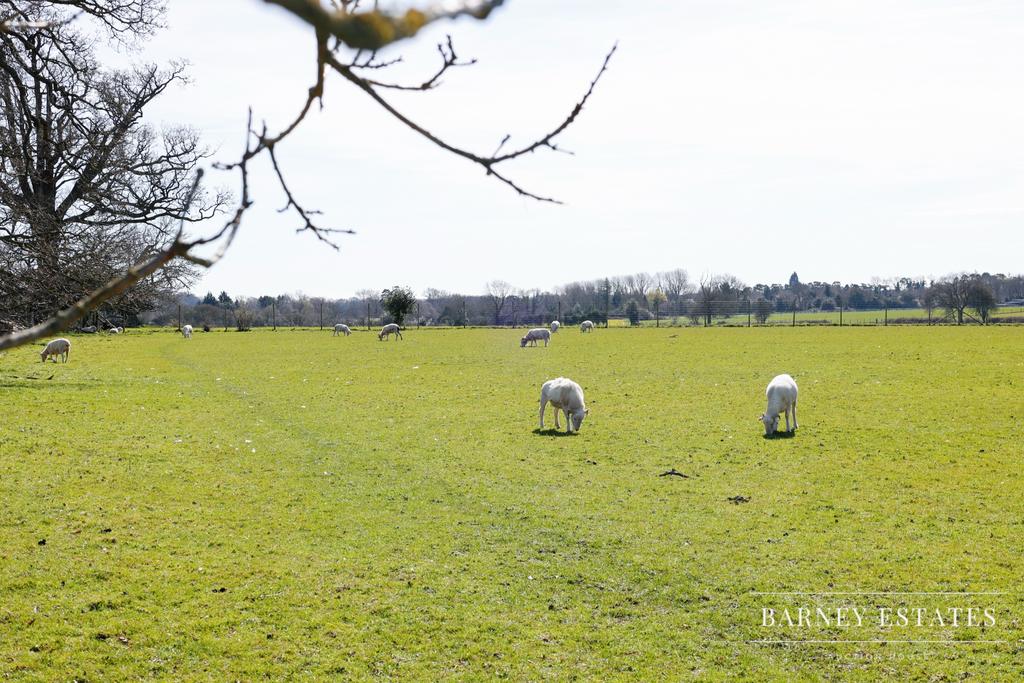 Church Road, Berkhamstead, HP4 - View 5