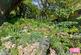 Additional image 17 of Pitt Lane, Lindal, Ulverston