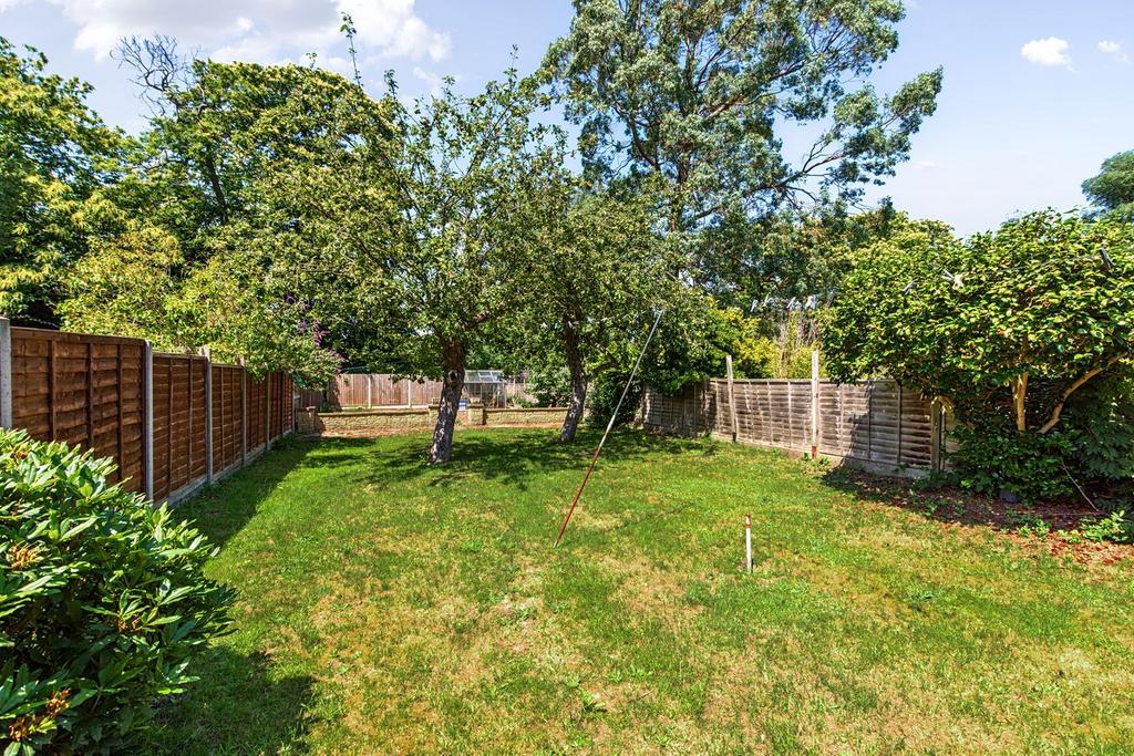 Garden view, garden