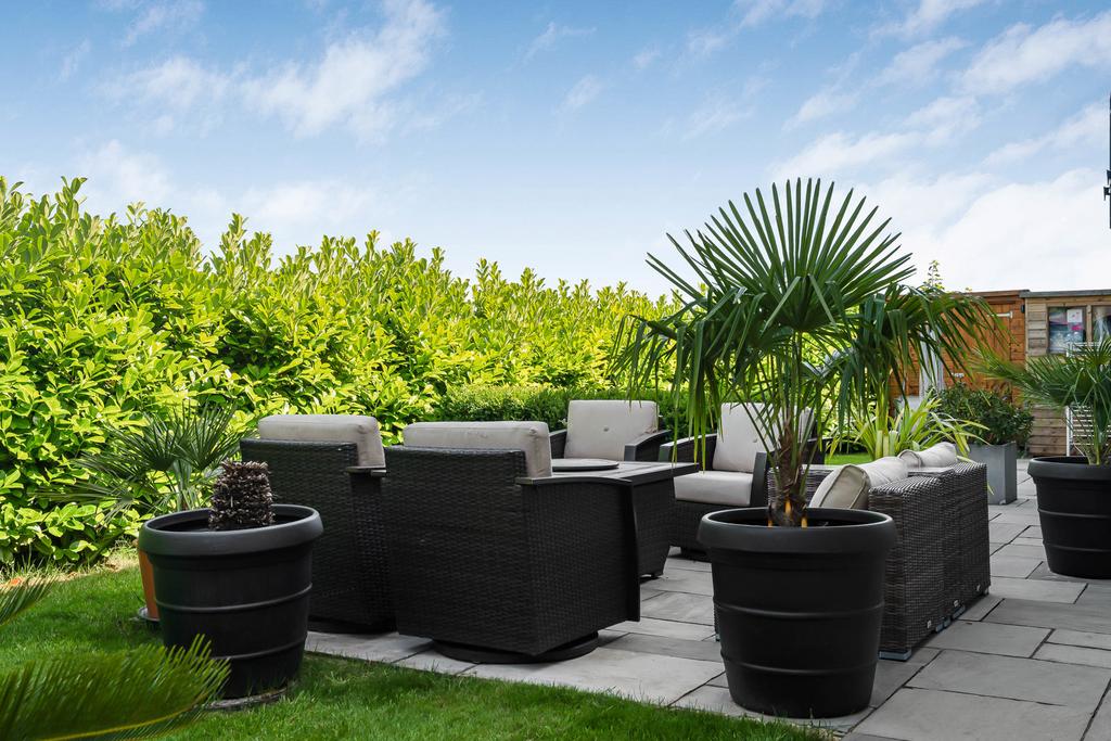 Patio view, garden