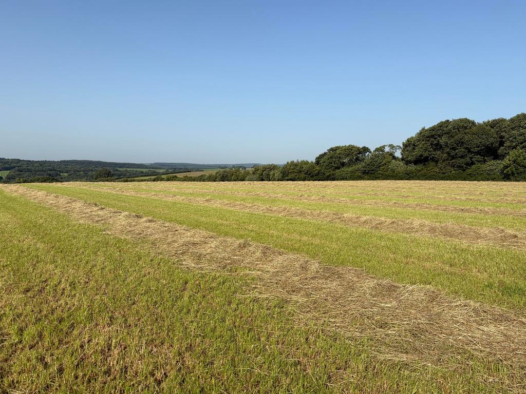 Inwardleigh, Okehampton EX20 - View 2