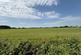 Moss Lane, Burscough, L40 photo 3
