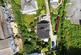 Additional image 33 of West Looe Hill, Looe, Cornwall, PL13