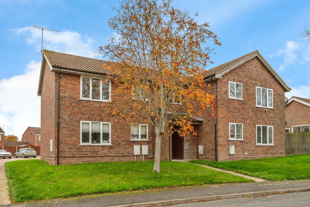 1 bedroom apartment to rent