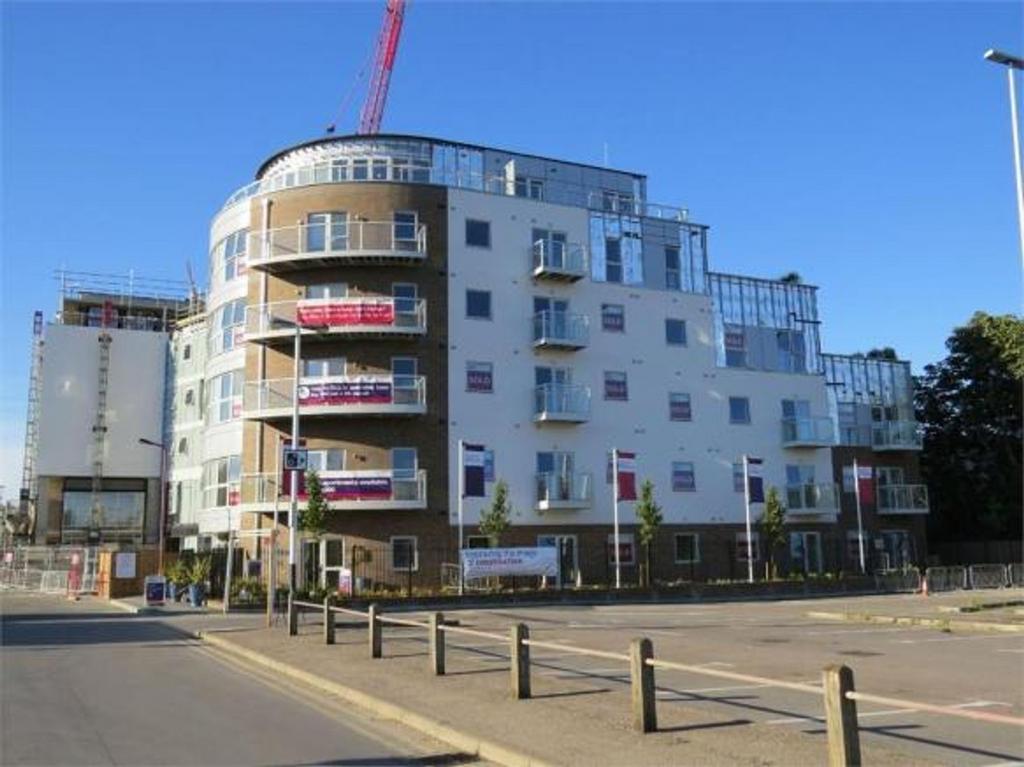 1 bedroom apartment to rent