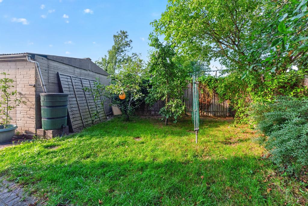 Garden view, garden