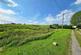 Additional image 24 of Tong Lane, Bacup, Rossendale, OL13