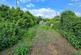 Additional image 8 of Tong Lane, Bacup, Rossendale, OL13