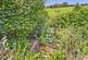 Additional image 11 of Western Terrace, Launceston, Cornwall