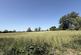 Additional image 21 of Belvoir Avenue, Ab Kettleby