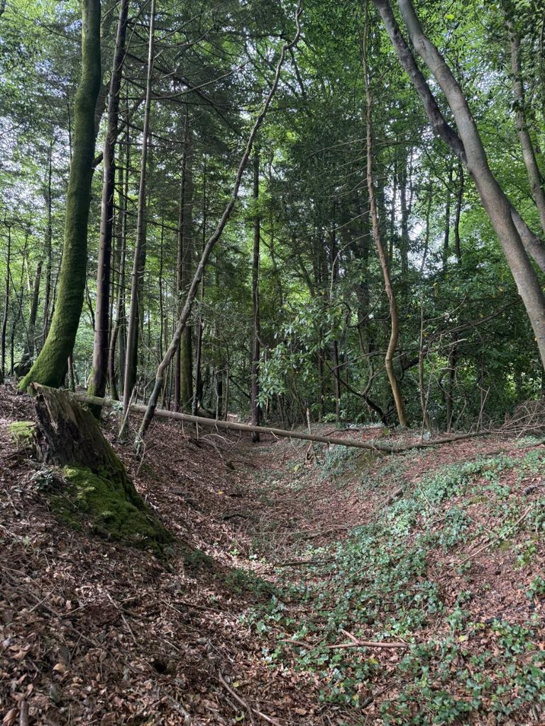 Woodland At Chyverton, Chyverton, Zelah, Truro, Cornwall, TR4 - More