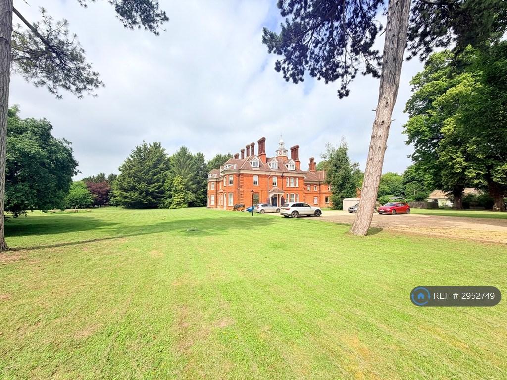 1 bedroom flat to rent