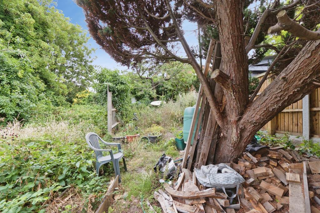 Garden view, garden