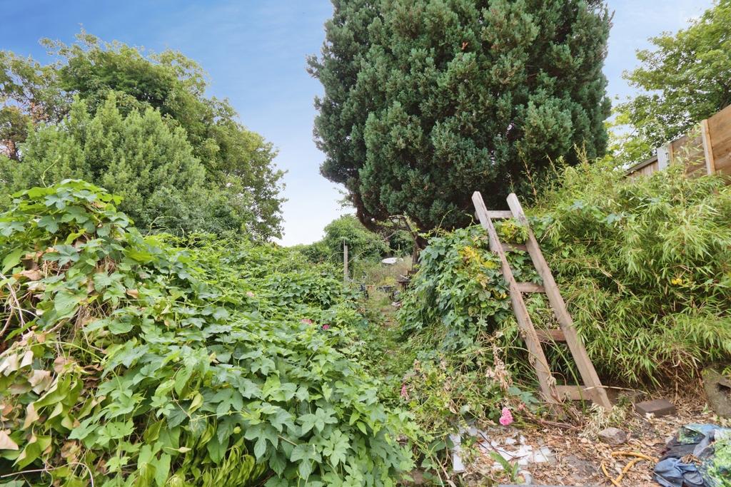 Garden view, garden