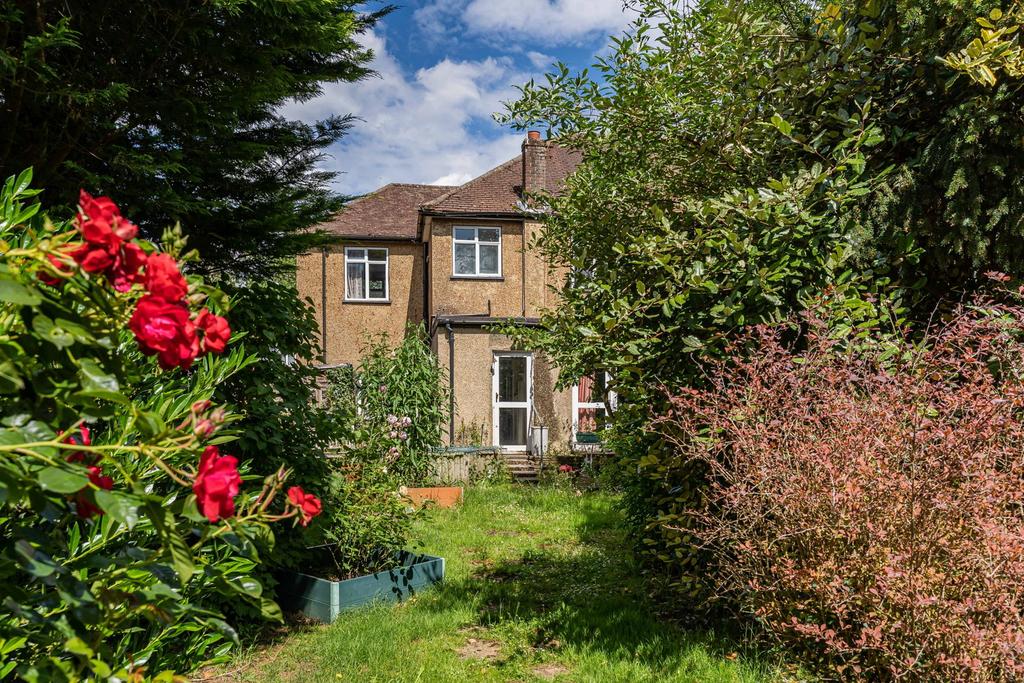 Garden view, garden