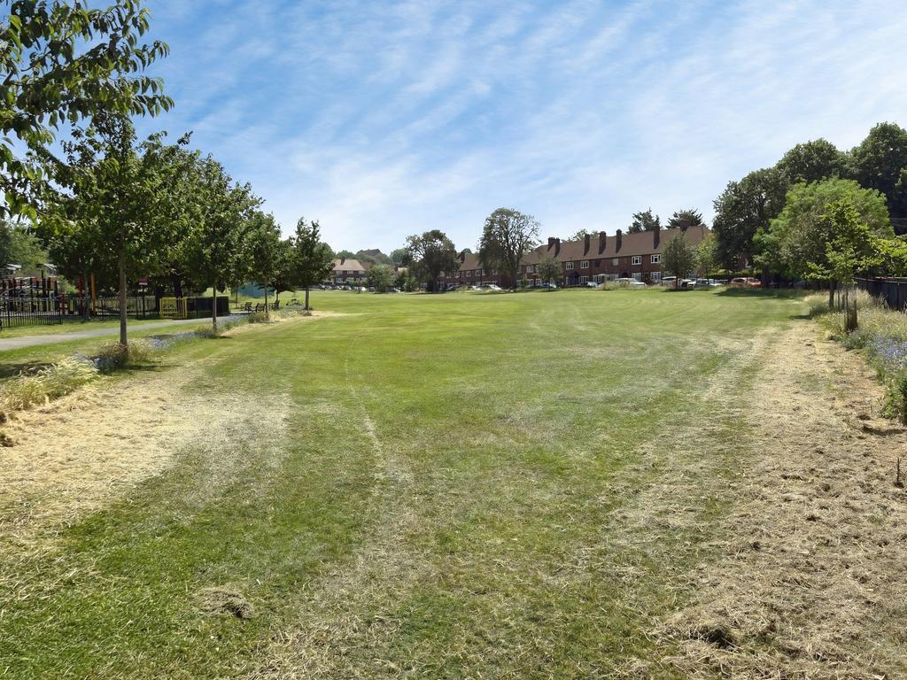 Communal garden, garden