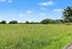 Additional image 11 of Wrexham Road, Tarporley
