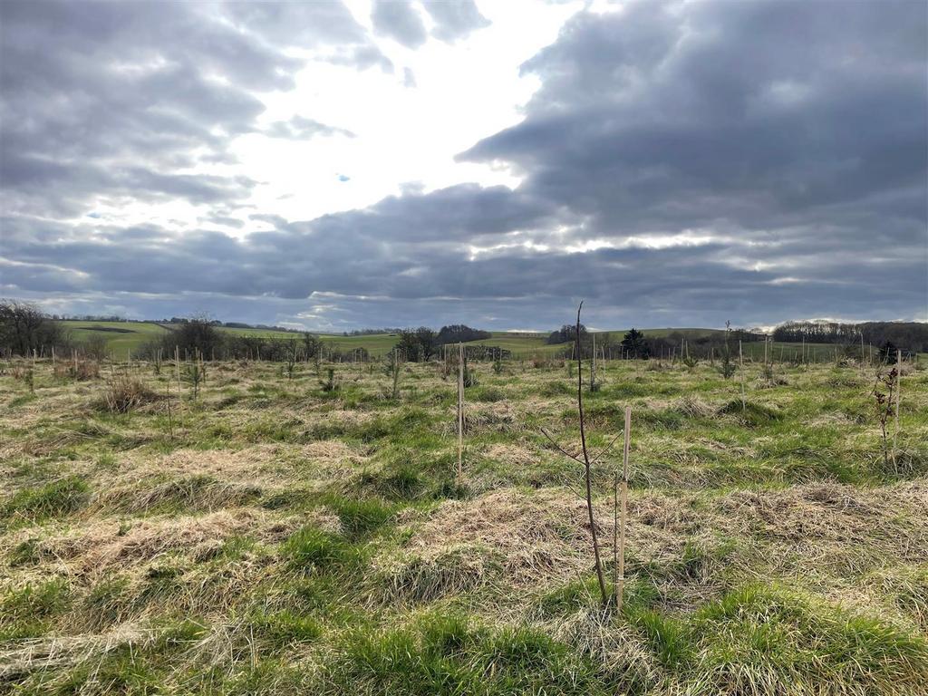Harts Wood – 10.8 Acres - View 3