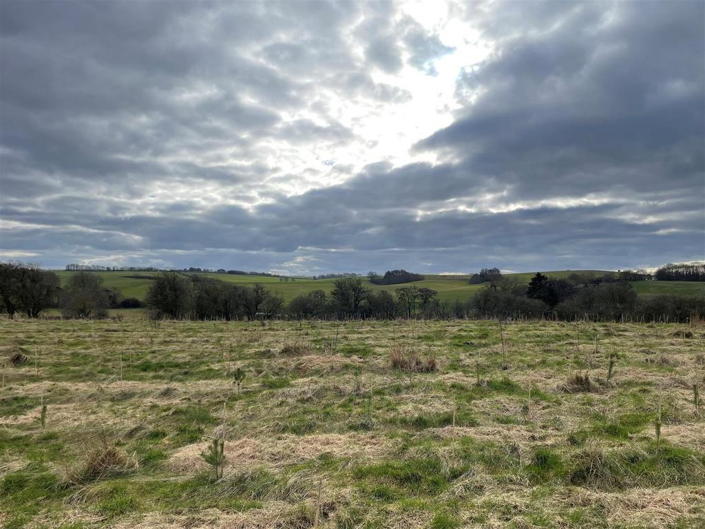 Harts Wood – 10.8 Acres - View 5