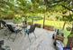 Additional image 10 of Rhone Cottage, Down Hatherley Lane, Gloucester, GL2