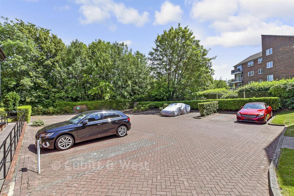Driveway/Parking