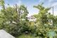 Additional image 9 of River Bank, Winchnmore Hill, London, N21