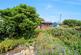Branscombe Close photo 5