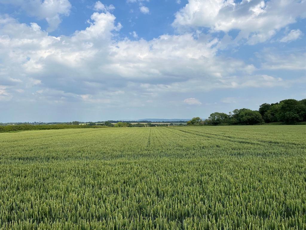 26.79 Acres Approx Mounstrall Lane, Northallerton