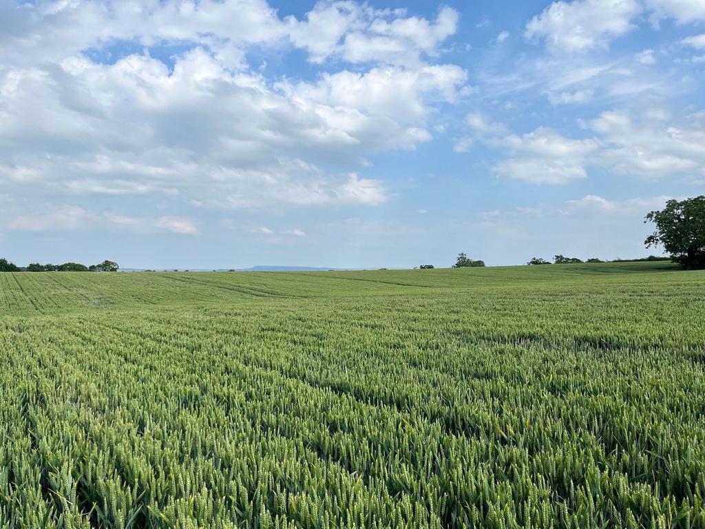 26.79 Acres Approx Mounstrall Lane, Northallerton - View 2