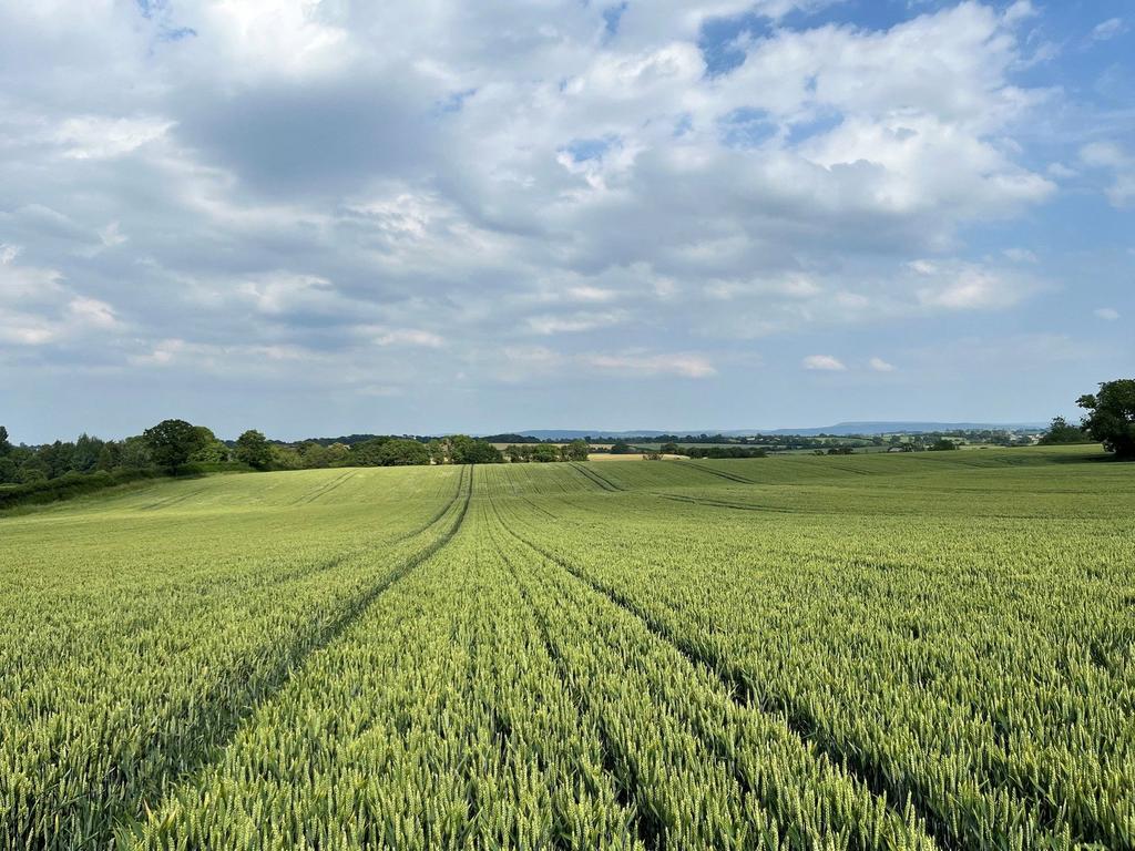 26.79 Acres Approx Mounstrall Lane, Northallerton - View 3