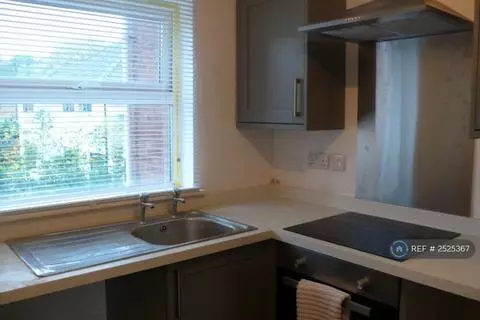 1 bedroom flat to rent - Widok 2
