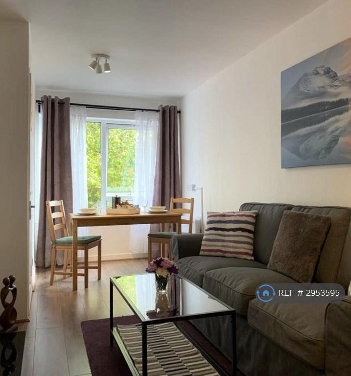 1 bedroom flat to rent